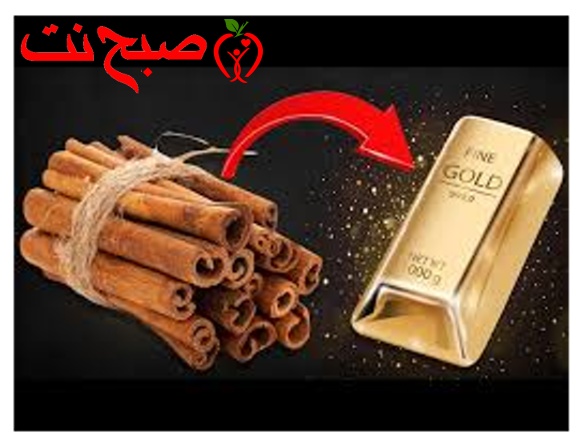دارچین معجزه طب چینی